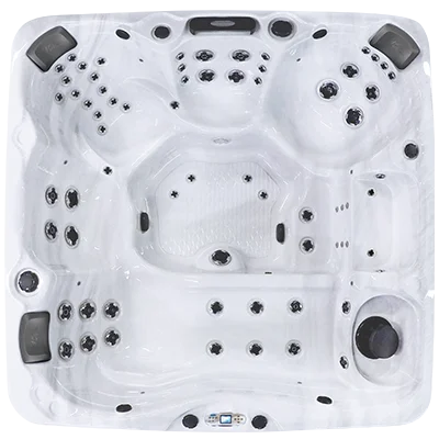 Avalon EC-867L hot tubs for sale in Green Lawn